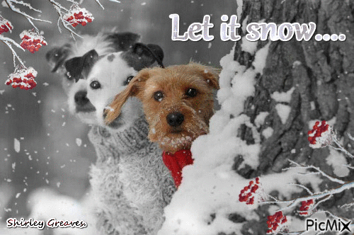 Let it snow - Animovaný GIF zadarmo