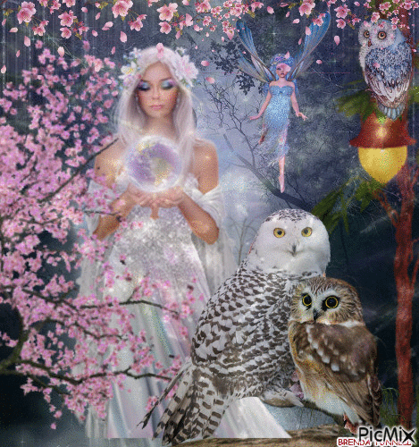 OWL LADY FANTASY - Безплатен анимиран GIF