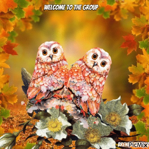 welcome owl - 無料png