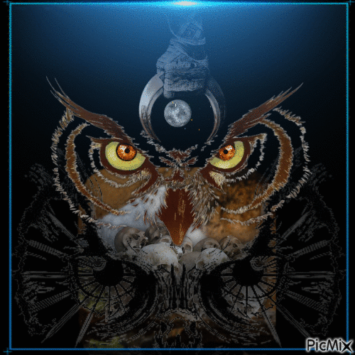 owl and moon - Δωρεάν κινούμενο GIF