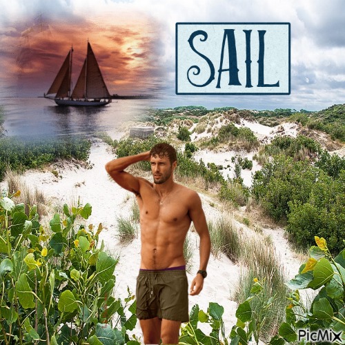 Sail - png gratis