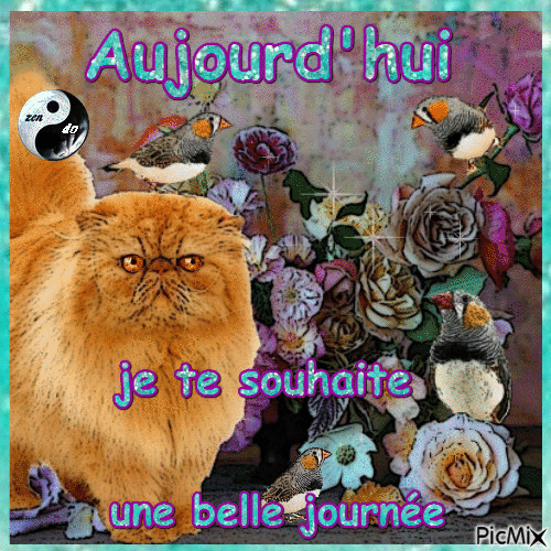 ✦ Belle Journée - Бесплатный анимированный гифка