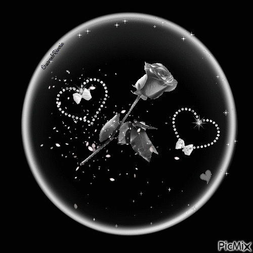 Rose dans une bulle - GIF animé gratuit