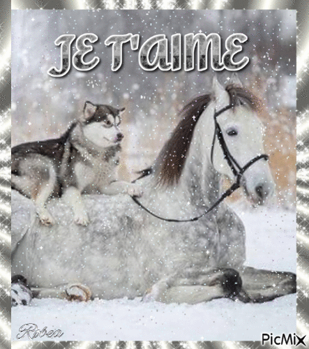 Cheval avec son chien - Free animated GIF