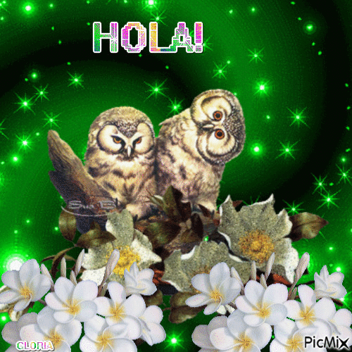 HOLA - 無料のアニメーション GIF