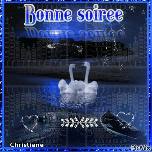 BONNE SOIREE 10 01 - Nemokamas animacinis gif