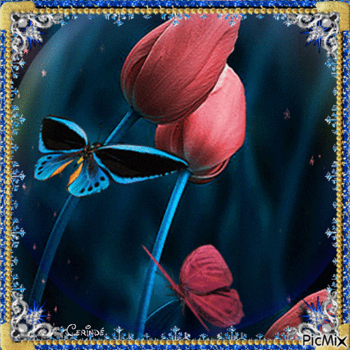 Beautiful frames and butterffiels - GIF animado gratis