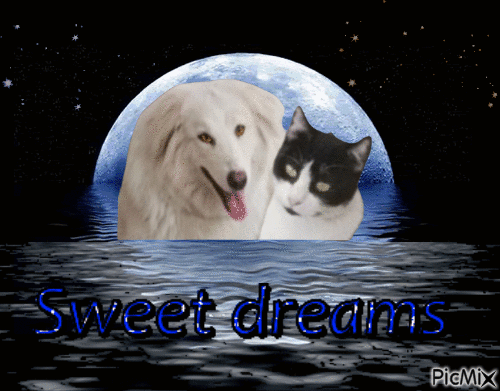 Sweet dreams - Bezmaksas animēts GIF