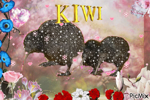 kiwi - Darmowy animowany GIF