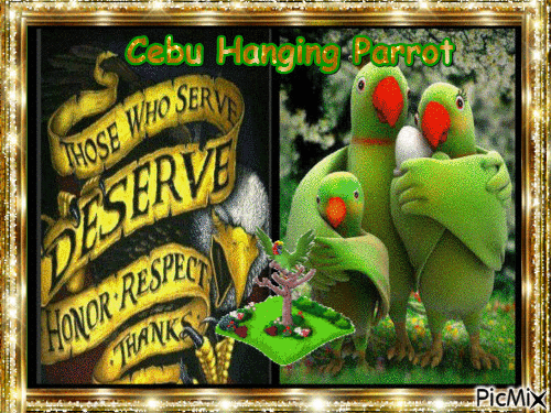 Cebu hanging parrot - GIF animasi gratis