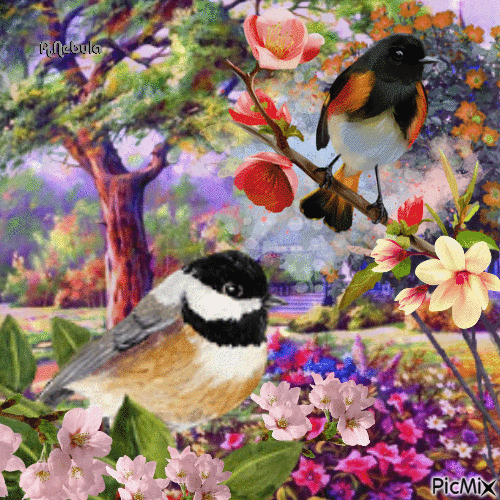 Spring and birds - Nemokamas animacinis gif