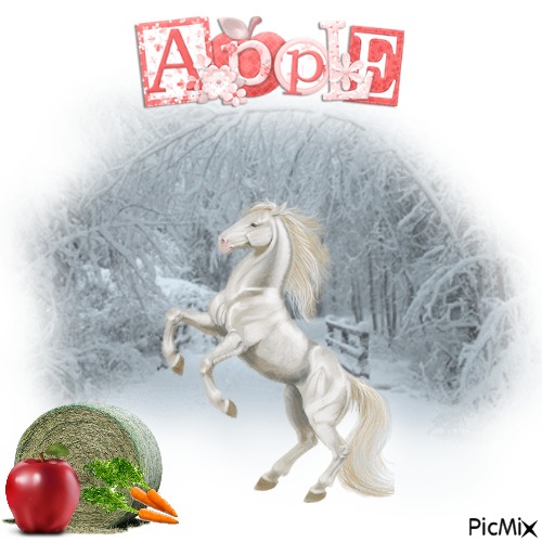 Horses An Delicious Apples - Free PNG