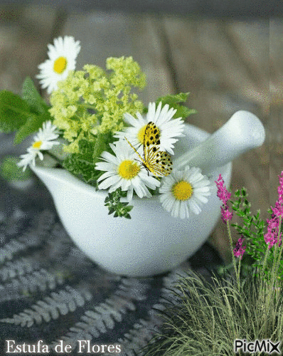 Estufa de flores - GIF animado gratis