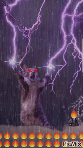 kitty vs world - Gratis animerad GIF