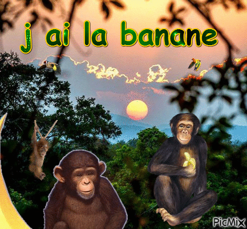 j ai la banane - Бесплатный анимированный гифка