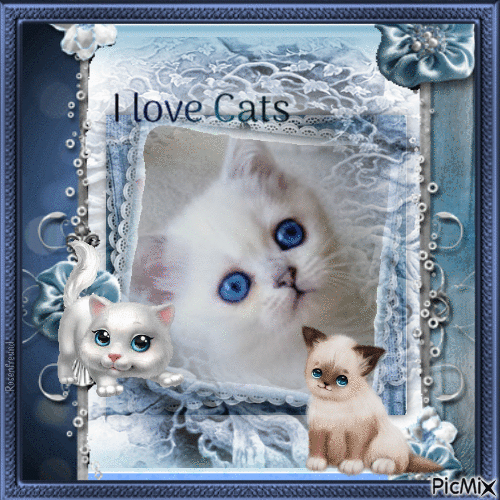 Cat with blue Eyes - GIF animate gratis