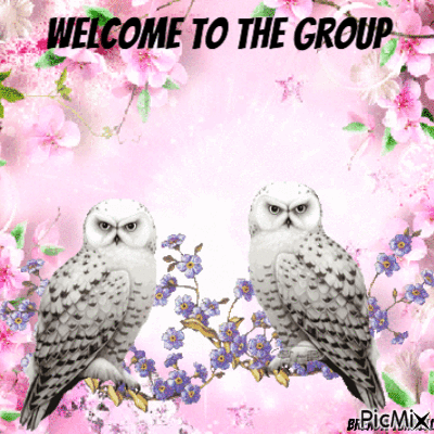 welcome owl - GIF เคลื่อนไหวฟรี