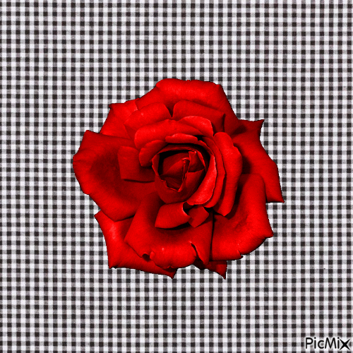 Rouge - Ücretsiz animasyonlu GIF