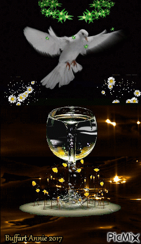 Belle colombe - GIF เคลื่อนไหวฟรี