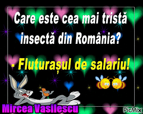 Mircea Vasilescu - GIF animasi gratis