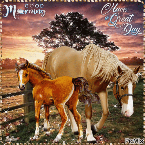 Good morning. Have a Great Day. Horses - GIF animado grátis