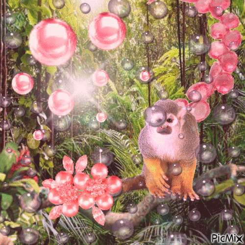 monkey fruit heaven VII - Ingyenes animált GIF
