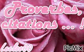 Proverbes, citations ... ! - PNG gratuit