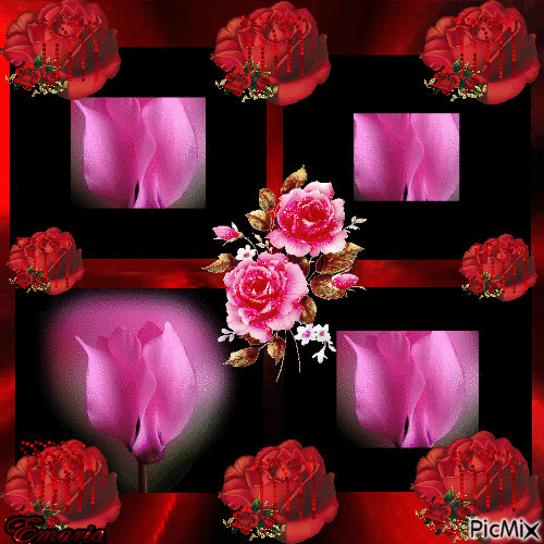 brilho das rosas - 免费动画 GIF
