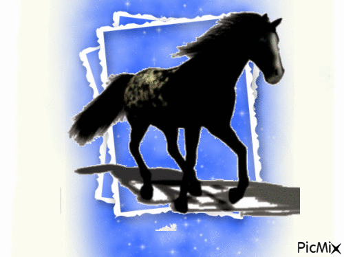 cheval - Ingyenes animált GIF
