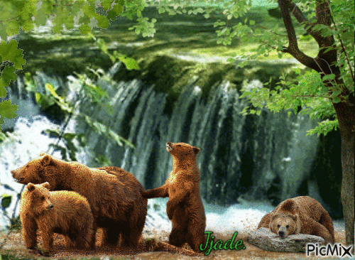 nature - Ingyenes animált GIF