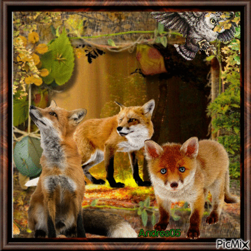 Foxes... - Бесплатни анимирани ГИФ