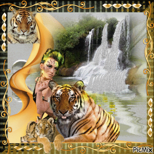 Tigre ou tigresse ? - Free animated GIF