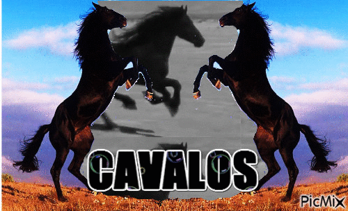 CAVALOS - Бесплатный анимированный гифка