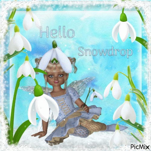 Hello Snowdrop - Darmowy animowany GIF