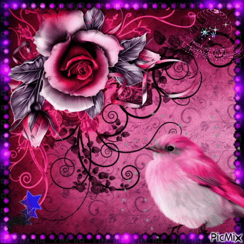 L'oiseau de la rose - GIF animé gratuit