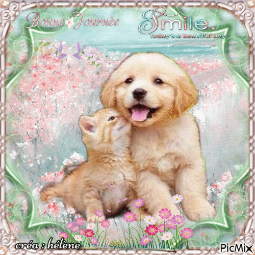 Chaton et chiot - Tons pastels - Darmowy animowany GIF