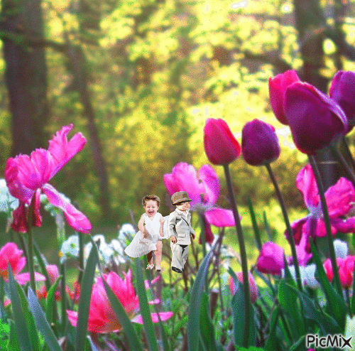 Tulipes - Darmowy animowany GIF