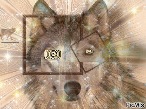l' oeil du loup - 無料のアニメーション GIF