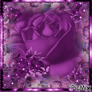 A BIG PURPLE ROSE IN THE CENTER, PINK AND PURPLE FLOWERS ACCROSS THE BOTTOM AND TOP AND SISED SPARKLES IN EACH CORNER, AND ON THE BOTTOM OF THE BIG ROSE, A PURPLE MOVING FRAME. - GIF animado grátis