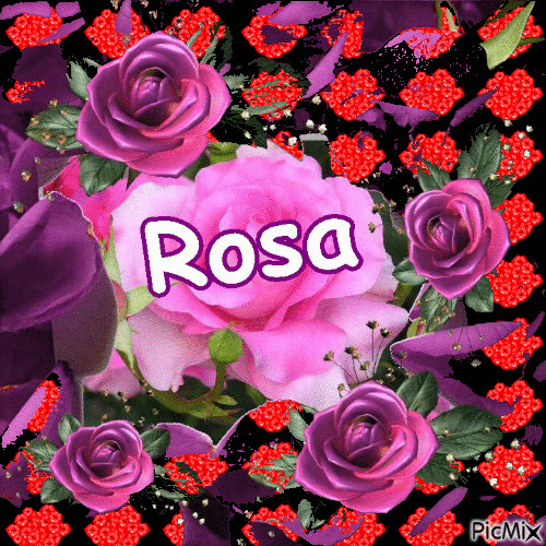 Rosa - GIF เคลื่อนไหวฟรี