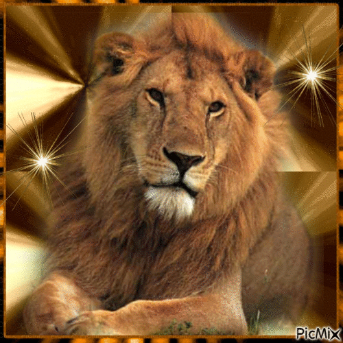 Tête de lion - Besplatni animirani GIF