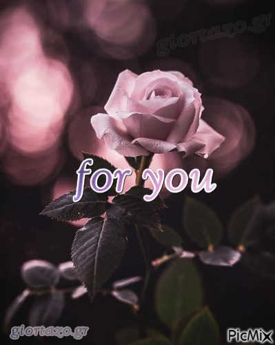 for you - 免费PNG
