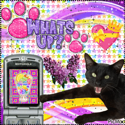 What’s up? 🐾 - GIF animate gratis