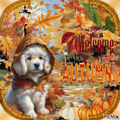 Süßer Hund im Herbst - Gratis animerad GIF