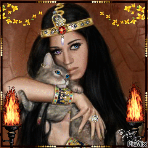 rainha dos gatos - Ingyenes animált GIF