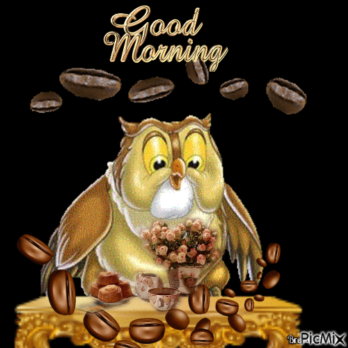 morning owl - Ingyenes animált GIF