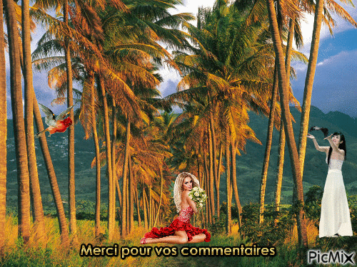 Merci pour vos commentaires - Free animated GIF