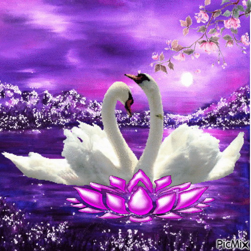 swans - Бесплатни анимирани ГИФ