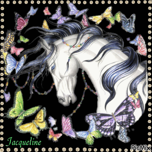 belle tête de cheval - Free animated GIF