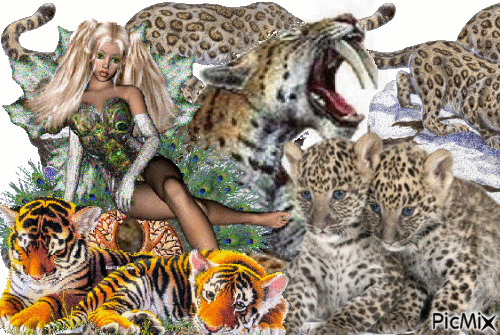 big cats all over - Free animated GIF